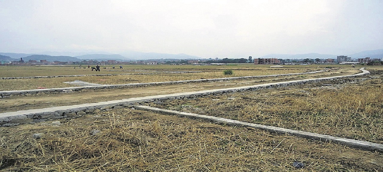 Plot 3